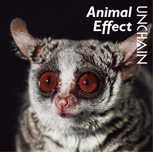 Animal Effect